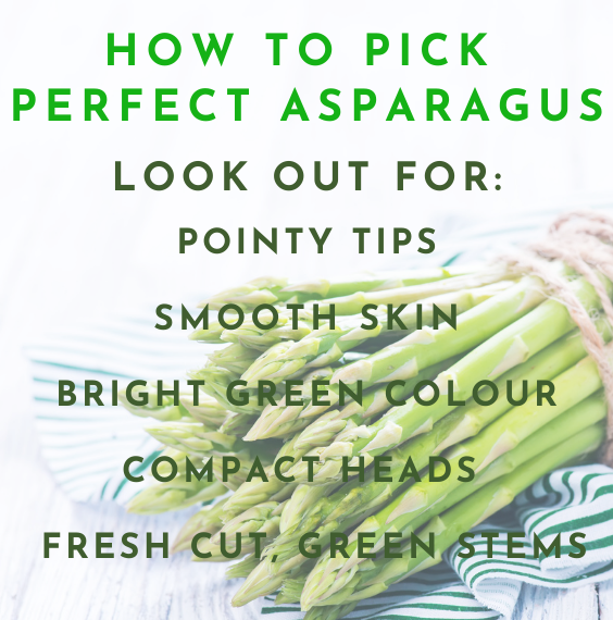 How to pick the perfect Ontario Asaparagus. Look for: Pointy Tips, Smooth Skin, Bright Green Colour, Compact Heads and Freshly Cut, Green Stems