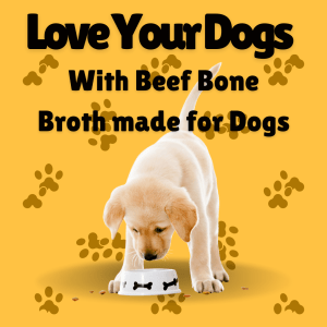 Beef bone broth for dogs